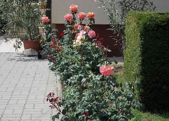 Judit Affittacamere 3*